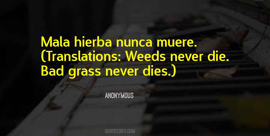 Que Nunca Quotes #1065941