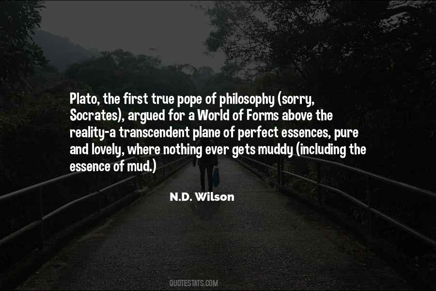 Forms Plato Quotes #1070638