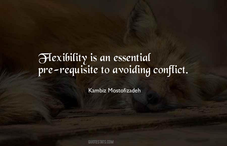 Quotes About Avoiding Conflict #1750049
