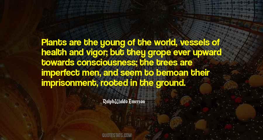 Rooted Tree Quotes #1623301