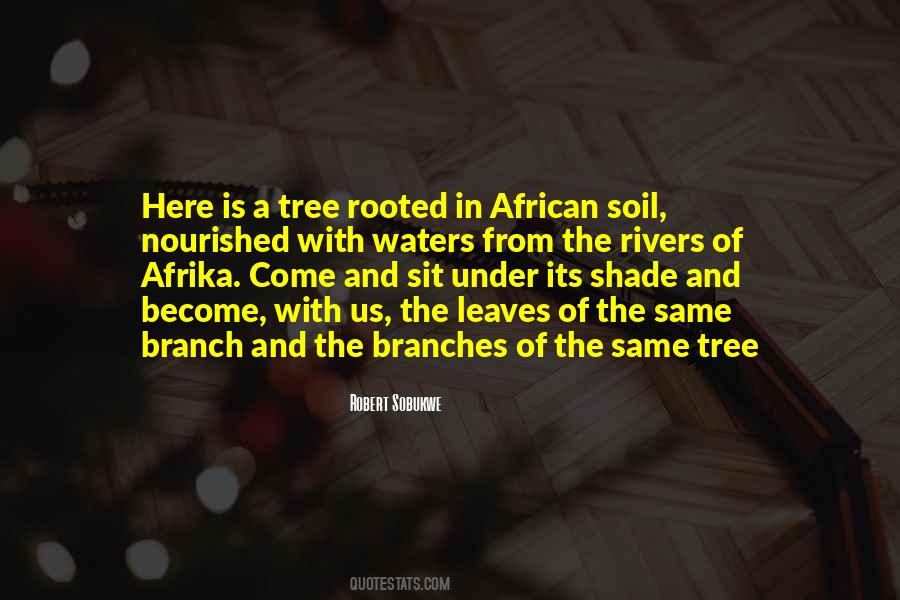 Rooted Tree Quotes #677069