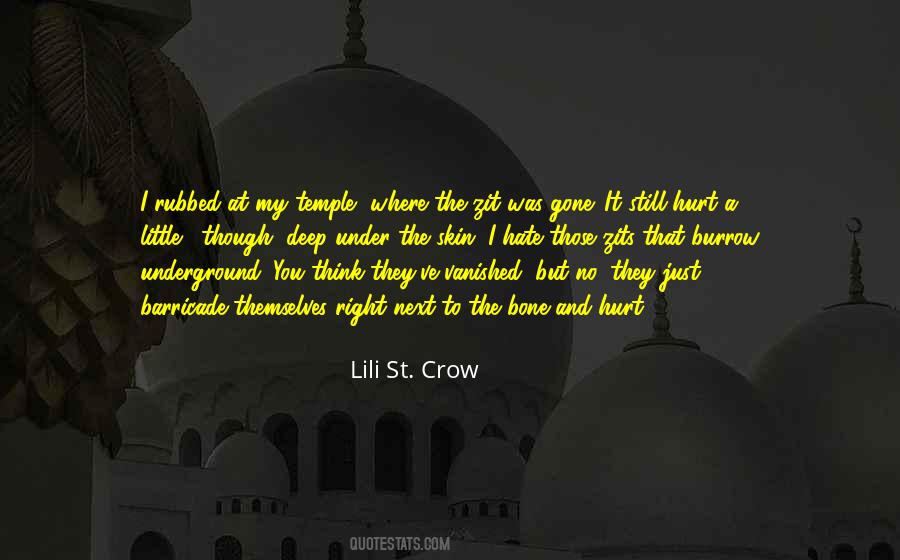 Quotes About Those That Hurt You #1635364