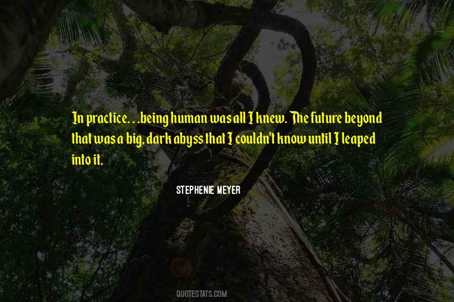 A Dark Future Quotes #358299