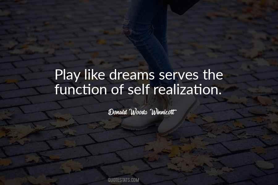 Quotes About Realization Of Dream #102117