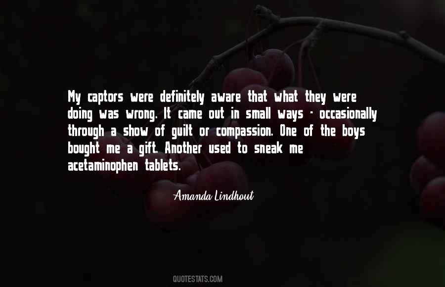 Lindhout Amanda Quotes #245648