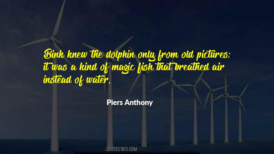 A Dolphin Quotes #860191