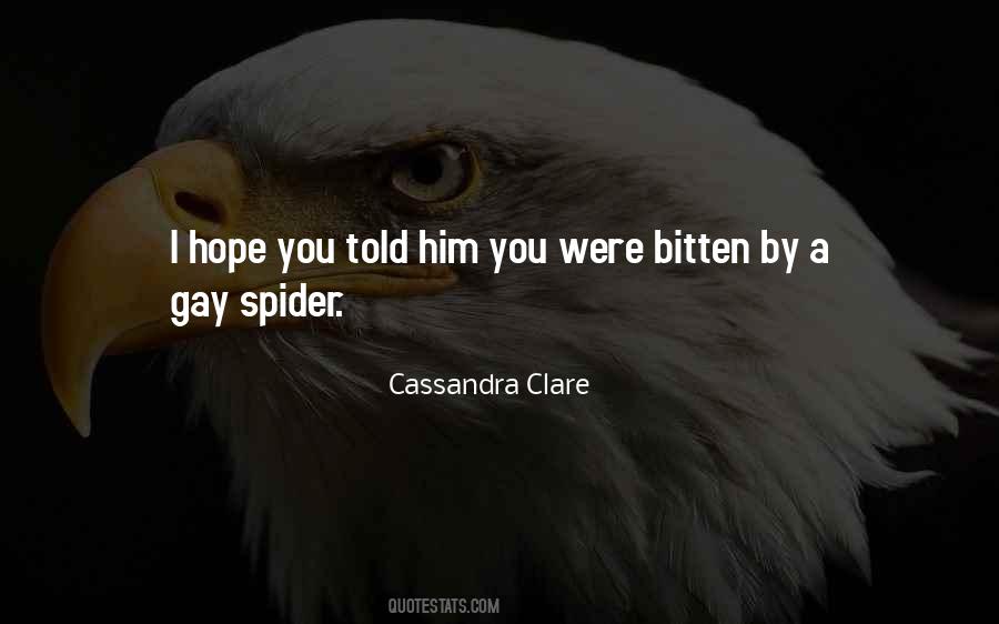 Gay Spider Quotes #806404