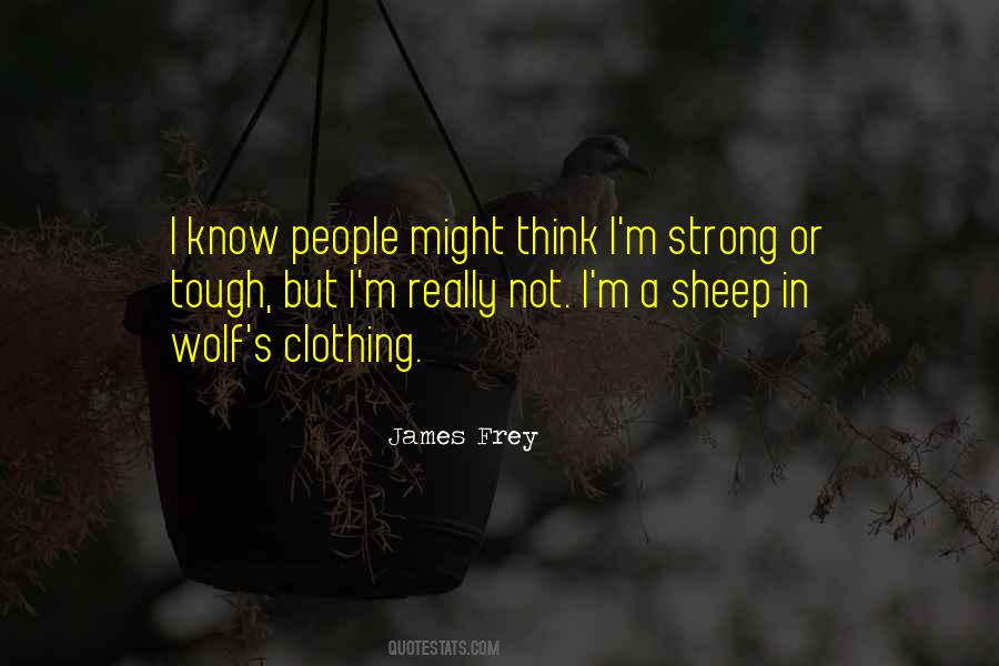 Quotes About A Wolf In Sheep's Clothing #1583622