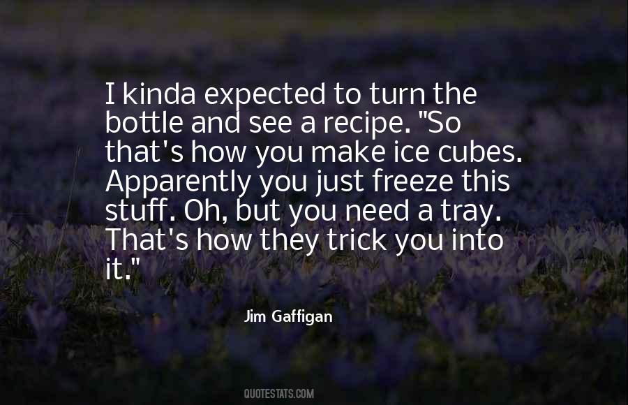 Quotes About Ice Cubes #1011290