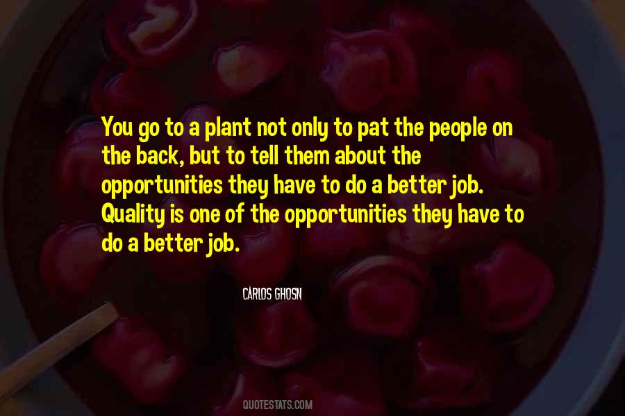 Quotes About Job Opportunities #747310