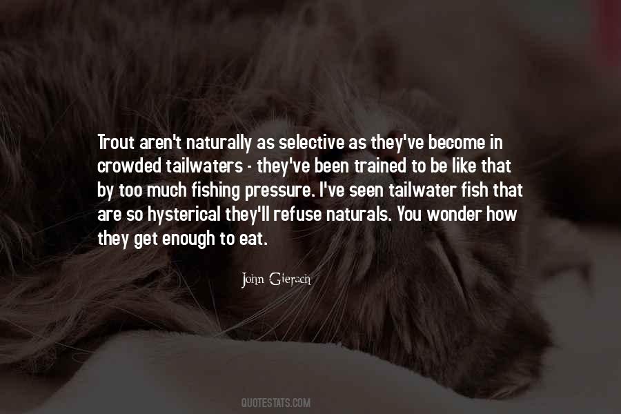 Quotes About Trout Fishing #950921