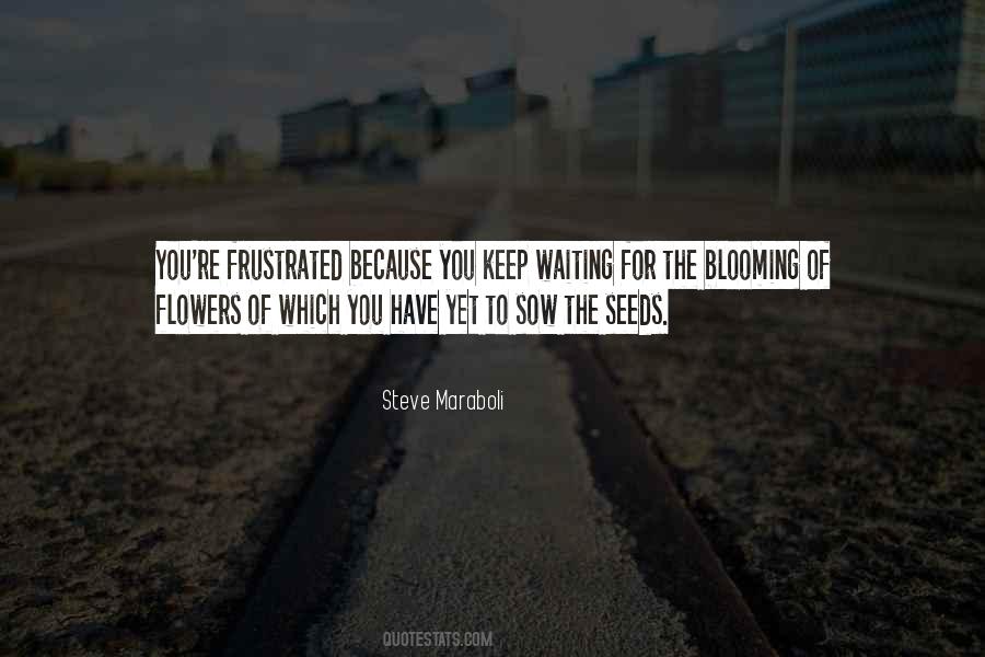 Seeds You Sow Quotes #1086037