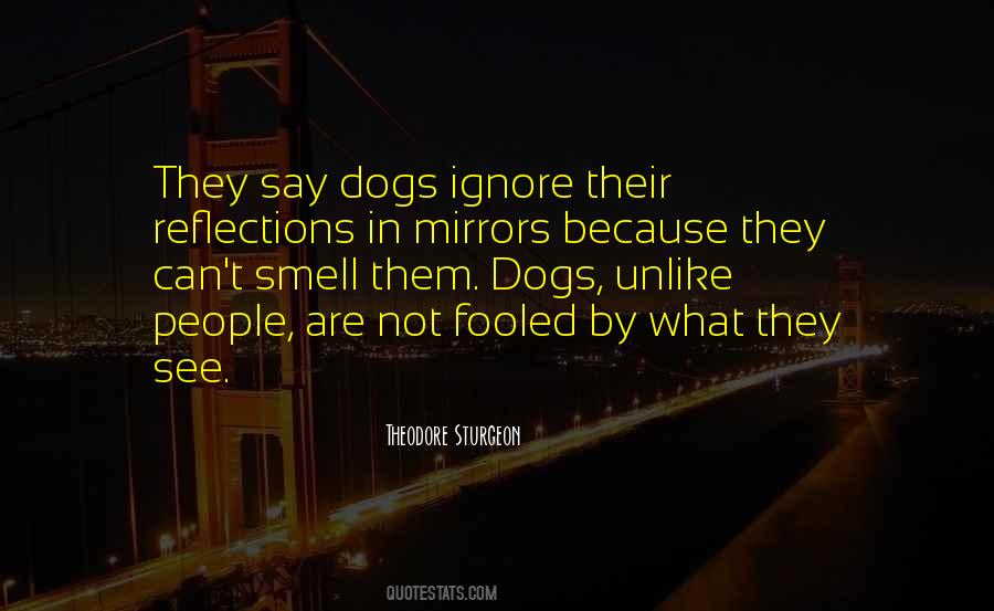 Quotes About Mirrors Reflections #1864186