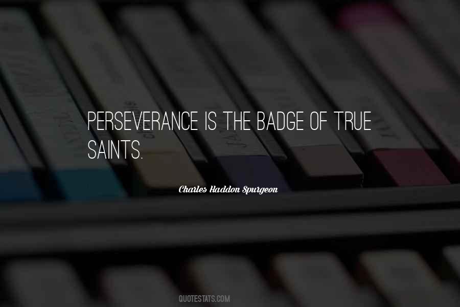 Perseverance Is Quotes #196546