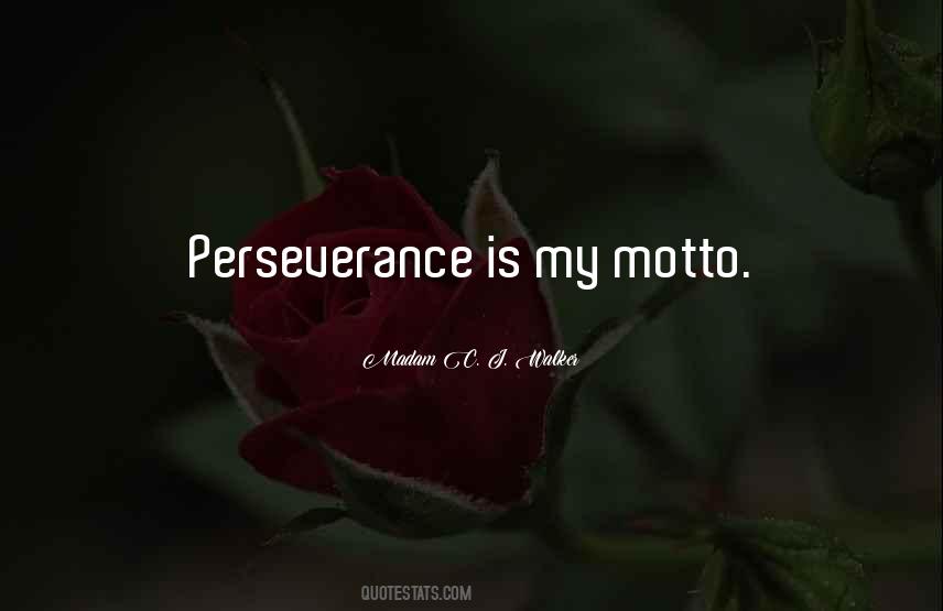 Perseverance Is Quotes #211052