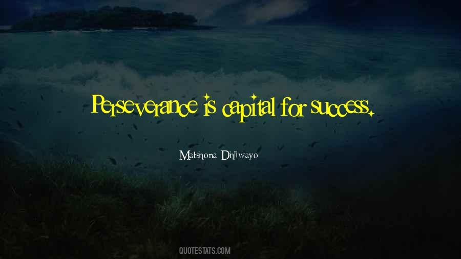 Perseverance Is Quotes #790391