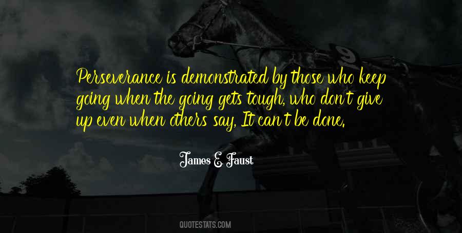 Perseverance Is Quotes #88183