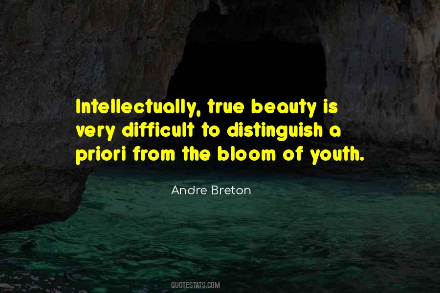 Quotes About The Beauty Of Youth #348547