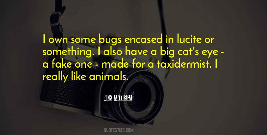 Quotes About Bugs #1098377