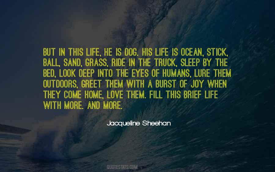 Joy Ocean Of Joy Quotes #1362425