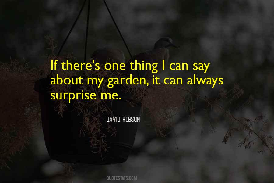 Quotes About Surprise Me #1348181