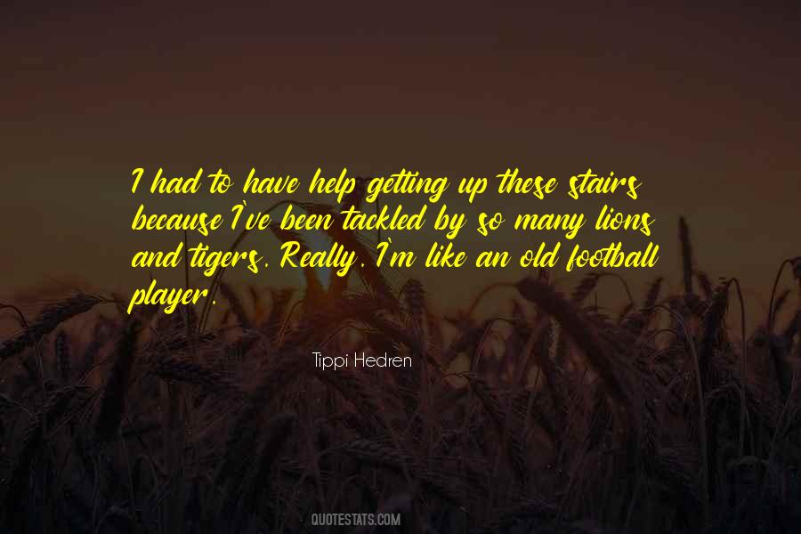 Quotes About Tigers And Lions #428410