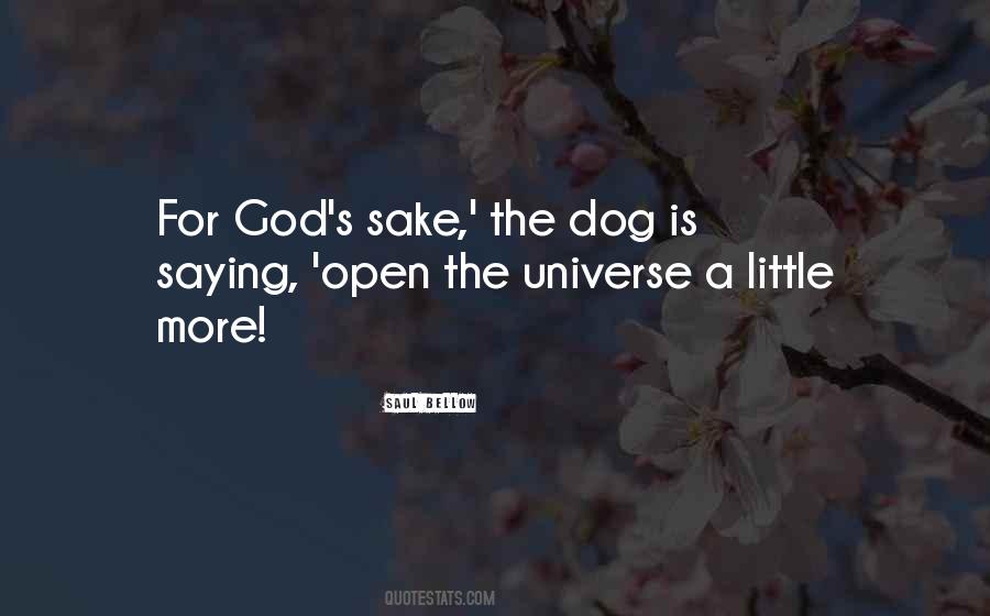God S Universe Quotes #661174