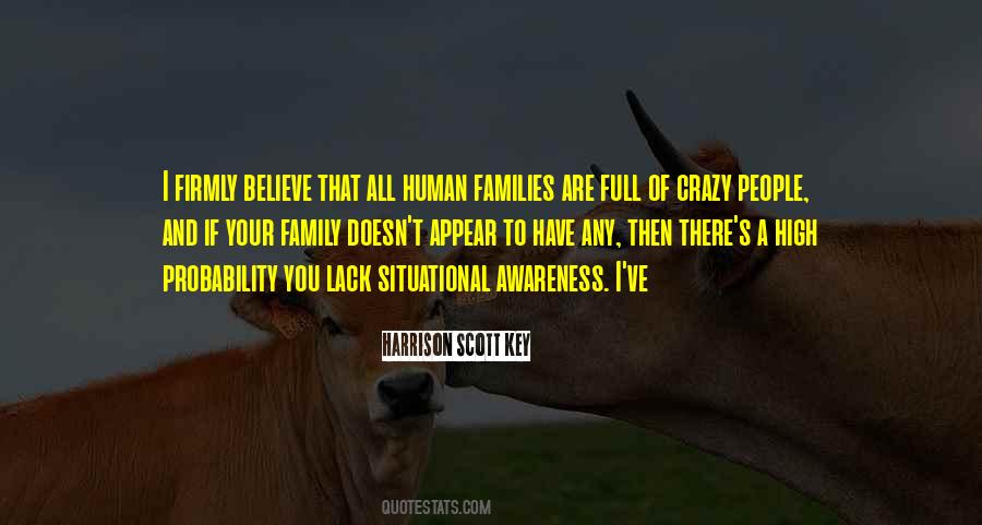 A Crazy Family Quotes #1085561
