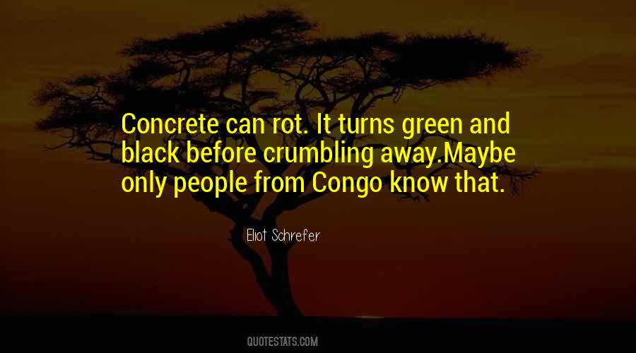 Quotes About Congo #1027666