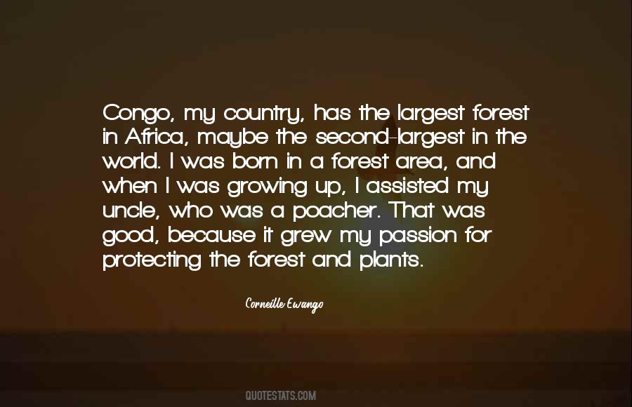 Quotes About Congo #1076757
