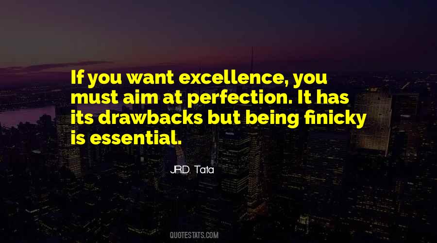 Quotes About Drawbacks #294807