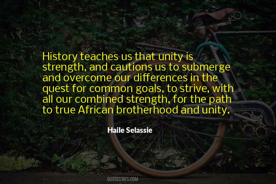 Quotes About Unity Is Strength #1702676