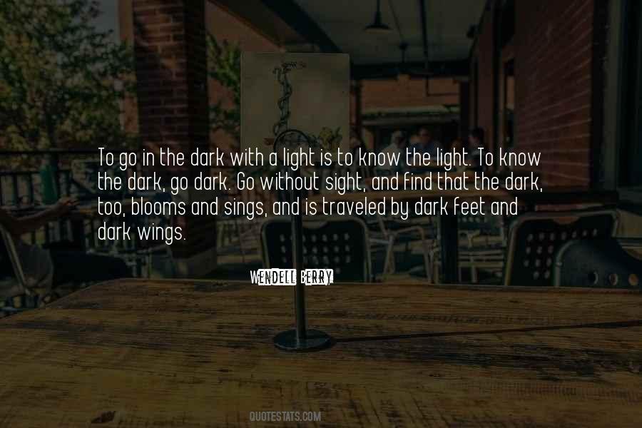 Quotes About Light & Dark #3536