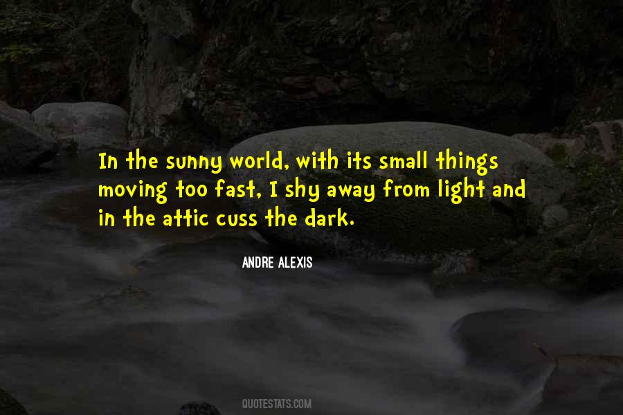 Quotes About Things Moving Too Fast #35044