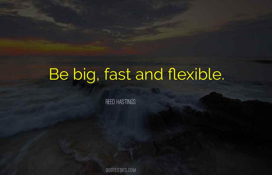 Quotes About Flexible #406682