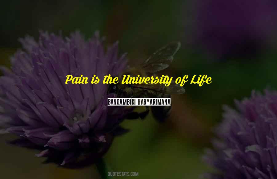 Quotes About University Life #714105
