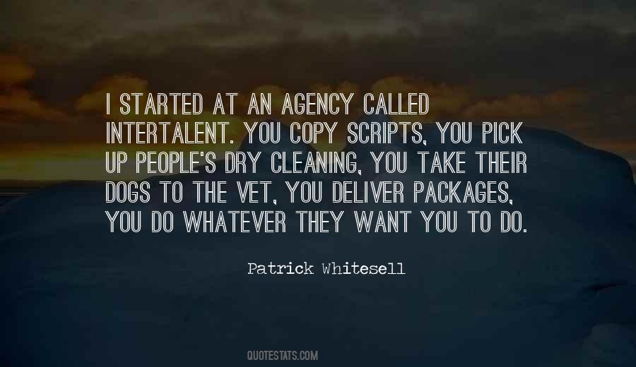 Quotes About Indie Rock Music #262656