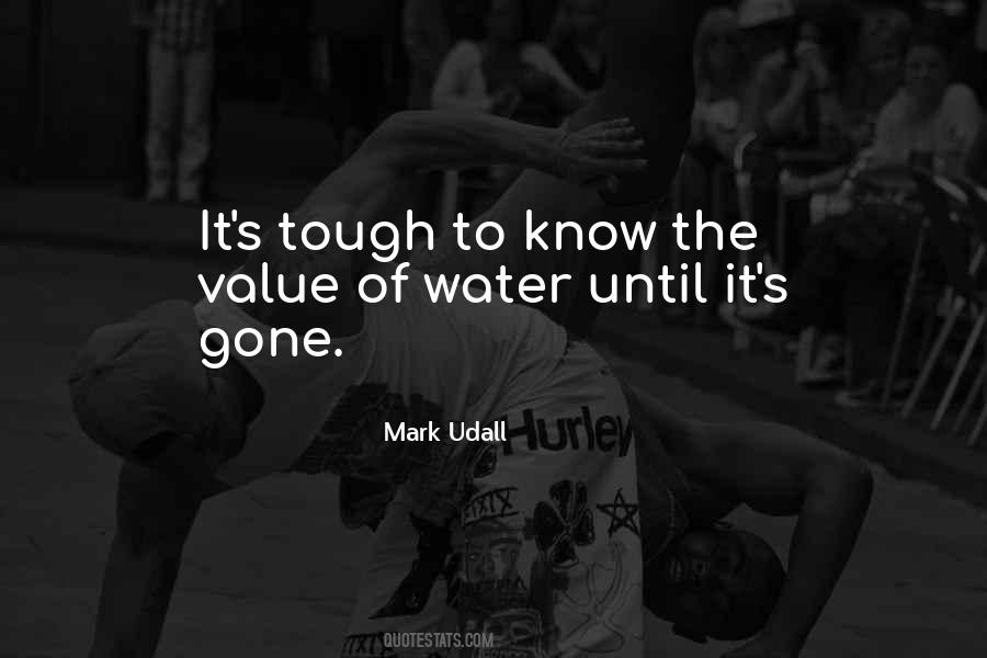 Value Of Water Quotes #364194