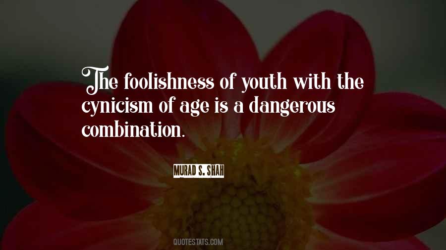 Quotes About Foolishness Of Youth #553432 Quotes About Foolishness Of Youth #553432