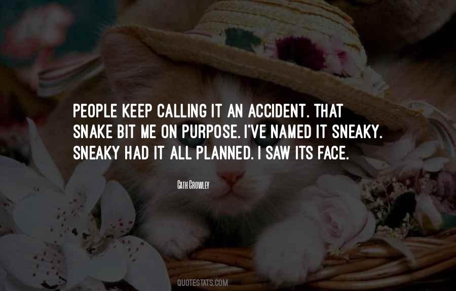 Quotes About Being Sneaky #309672