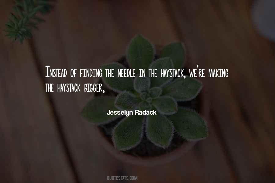 Quotes About Finding A Needle In A Haystack #1006443