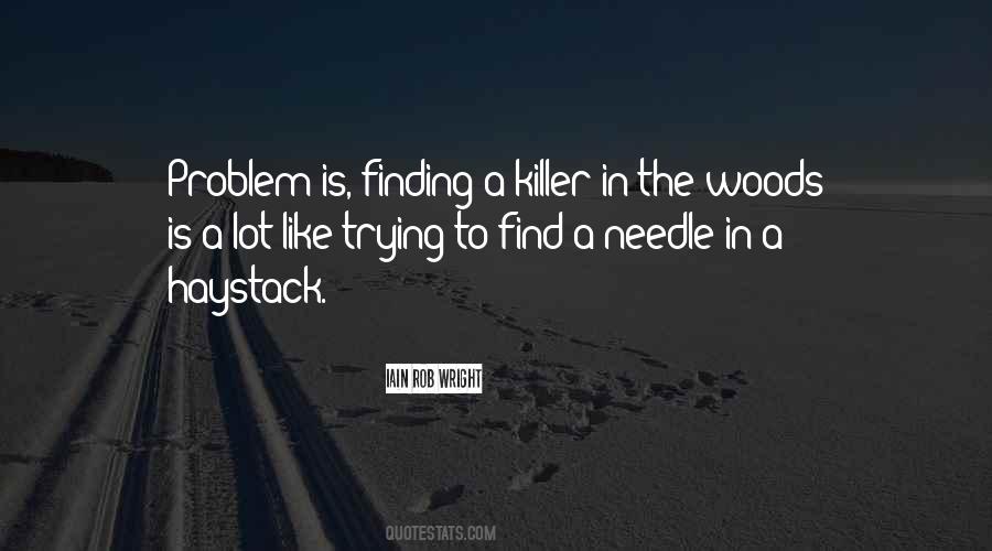 Quotes About Finding A Needle In A Haystack #1367841