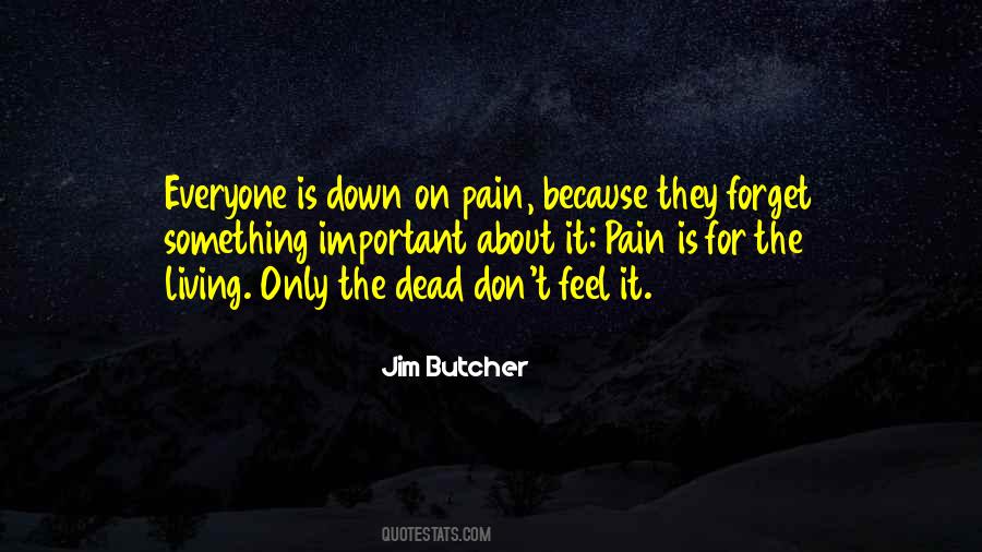 Forget The Pain Quotes #1084358