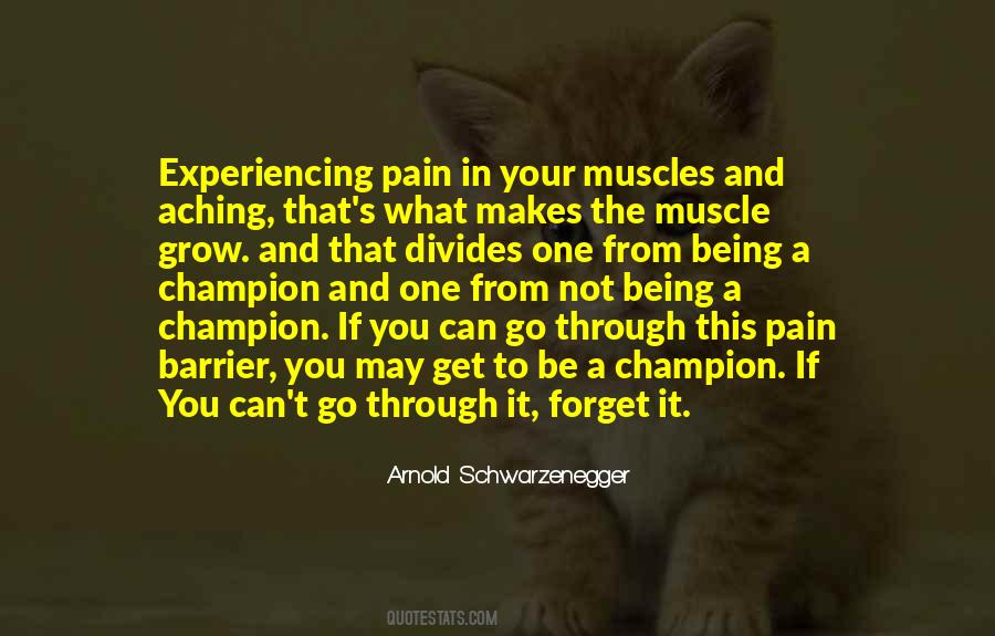 Forget The Pain Quotes #136704