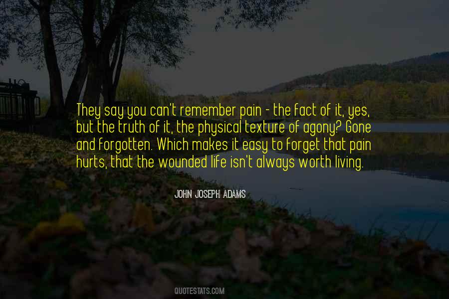 Forget The Pain Quotes #1458530