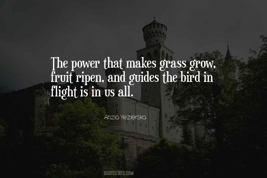 Quotes About Flight #130974 Quotes About Flight #130974