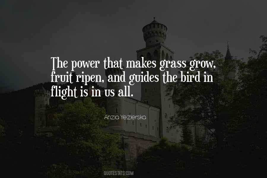 Quotes About Flight #130974