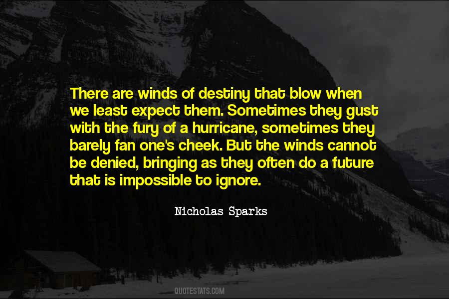 Future Destiny Quotes #404735