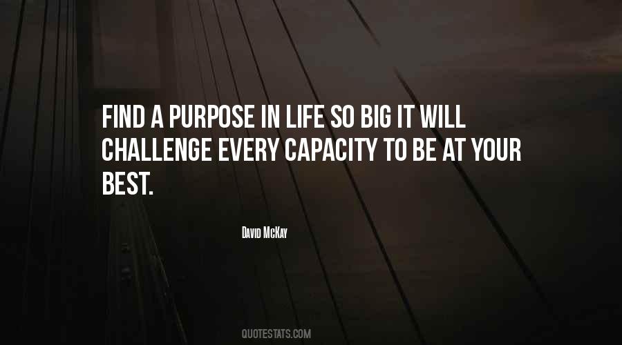 Quotes About A Challenge In Life #427329