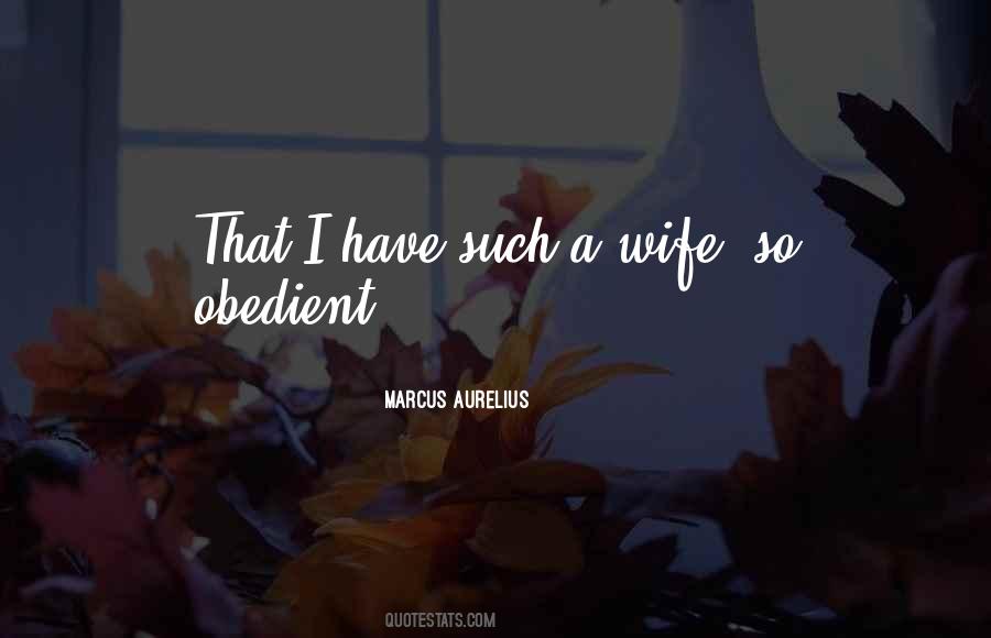 Night Divided Quotes #1447262